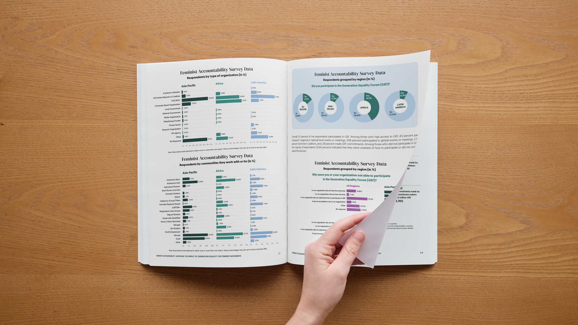 print_feminist_accountability_graphs